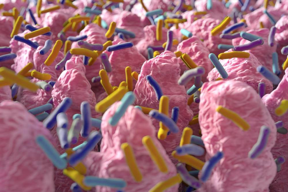 How does your microbiome impact your health?