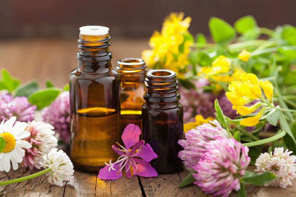4 Healing Herbs to Help You Heal