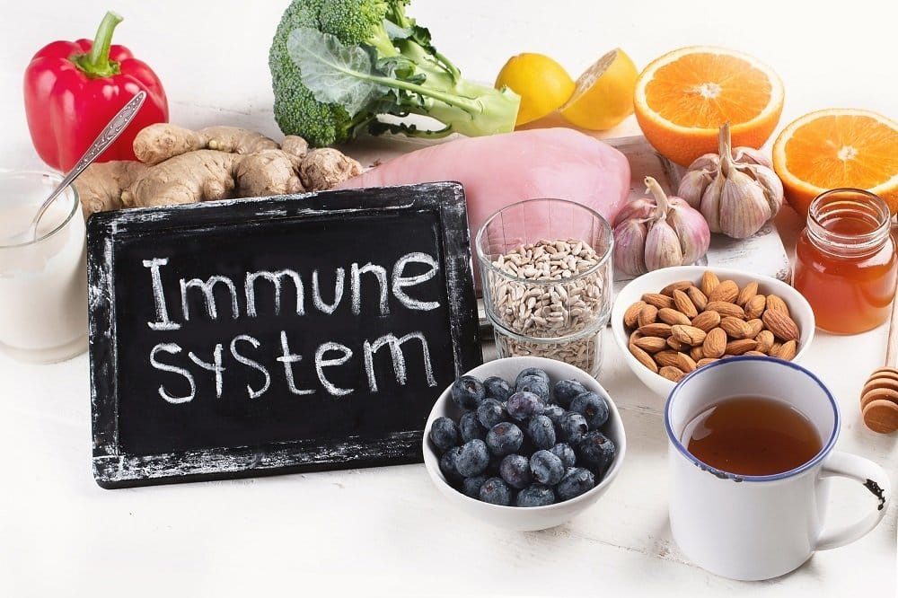 foods to support immunity