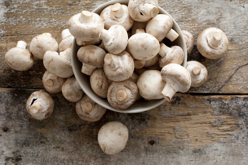 Mushrooms can help fight immunity