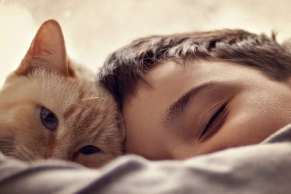 how can cats help kids with autism