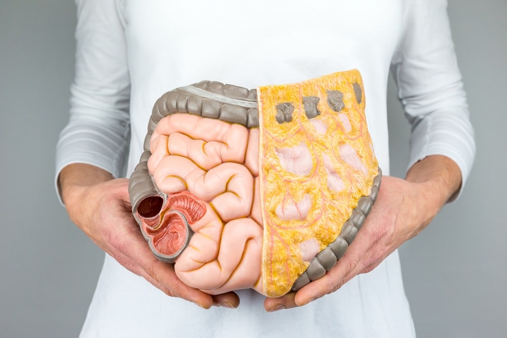 does vitamin impact gut health