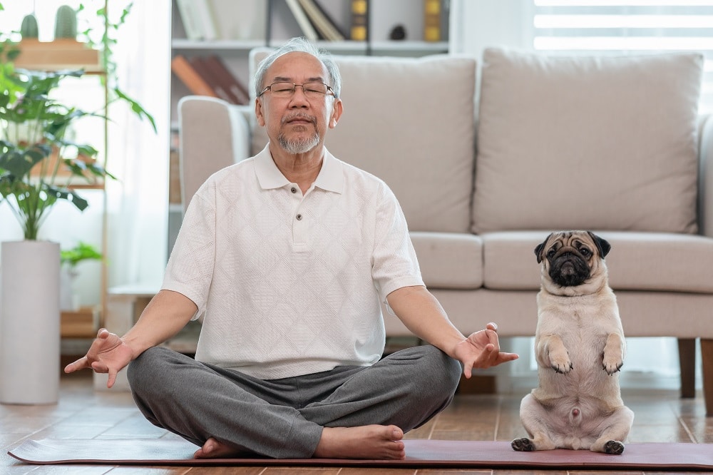 Asian,Elderly,Senoir,Man,Doing,Yoga,With,Dog,Pug,Breed