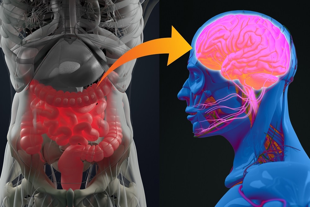 how our gut impacts mental health