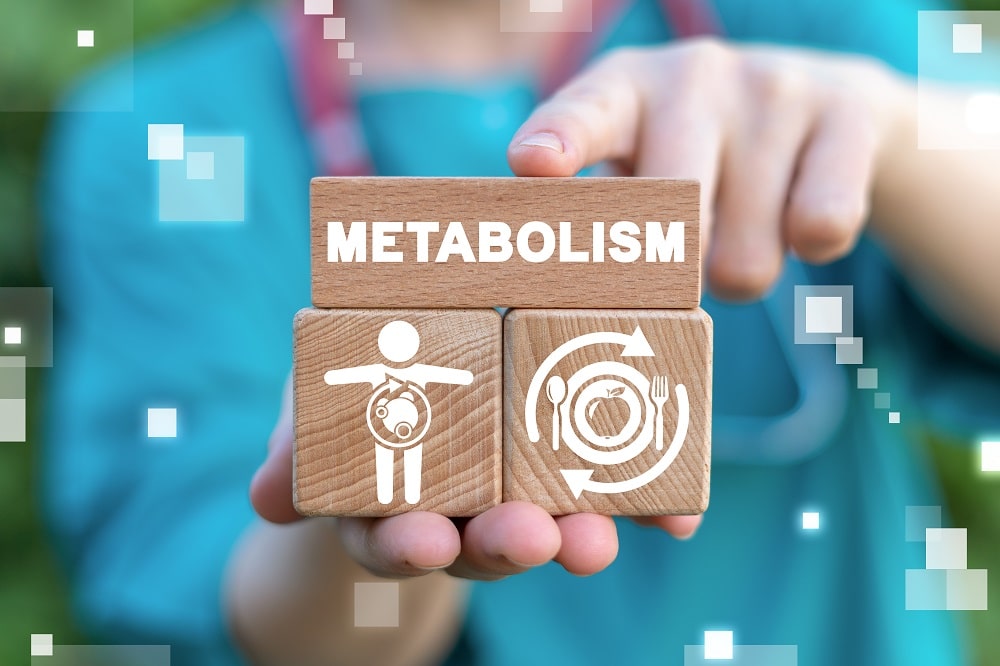 Metabolism,Medical,Concept.,Diet,Nutrition,Immunity,Human,Health.