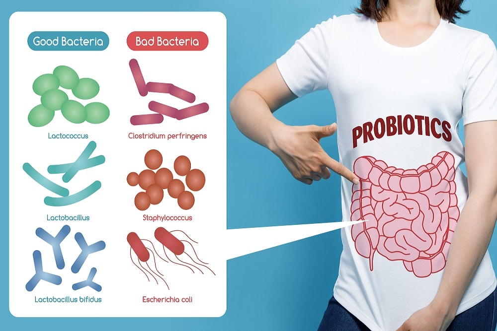 5 Myths and Misconceptions About Probiotics