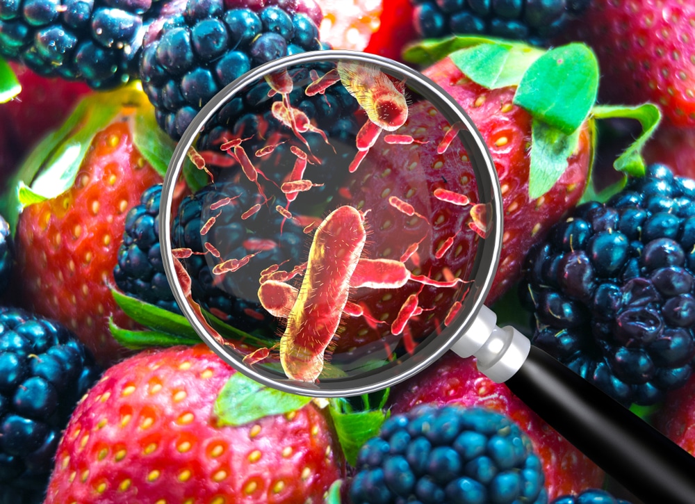 Parasite Infection Symptoms: Know the Warning Signs