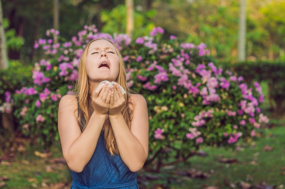 Pollen,Allergy,Concept.,Young,Woman,Is,Going,To,Sneeze.,Flowering
