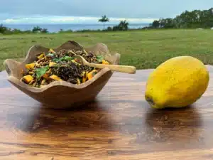 papaya rice dish 480x480