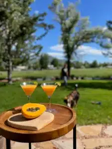 spicy papaya cocktail 480x480