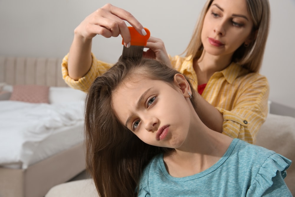 Safe and Natural Solutions for Getting Rid of Head Lice