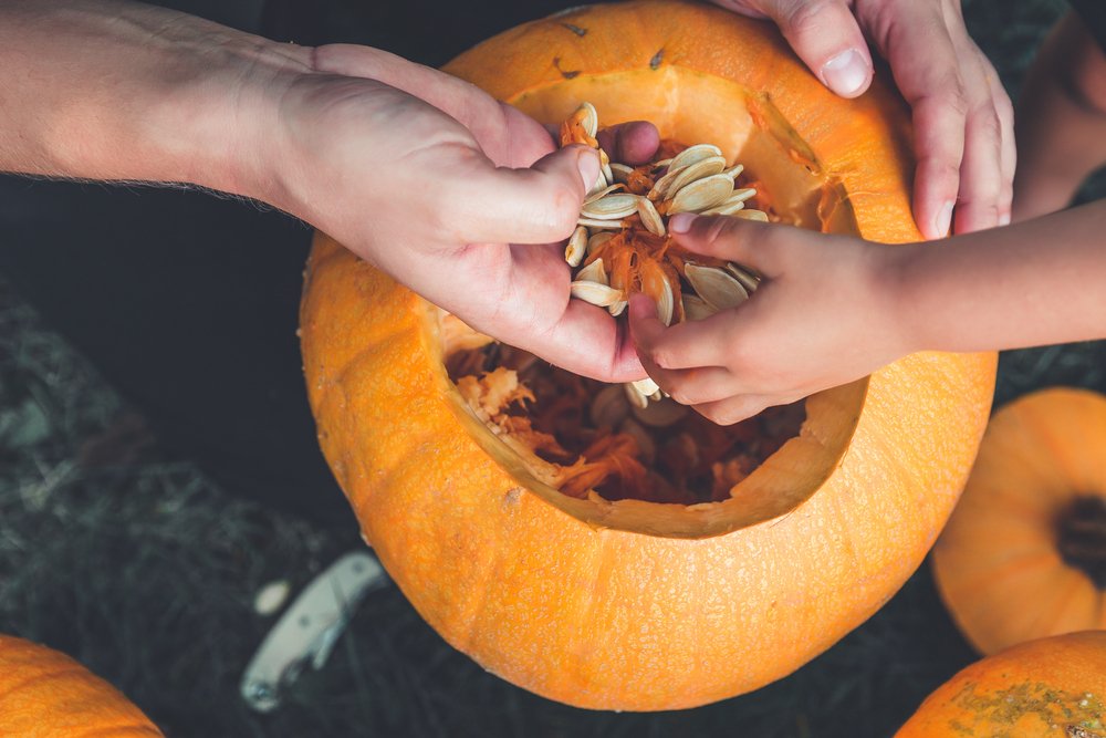 This Autumn Superfood Can Sharpen Your Memory