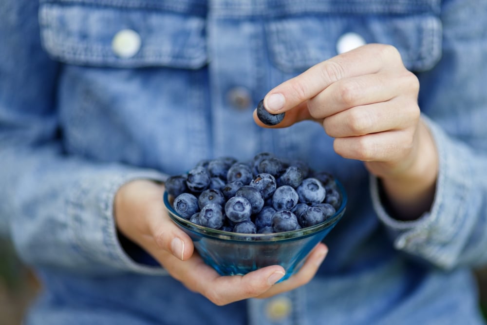 Grow a New Brain with Blueberries