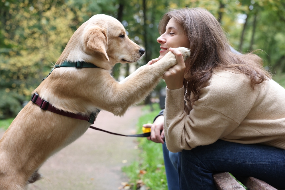 5 Ways To Reduce Stress and Find Balance in Your Daily Life
