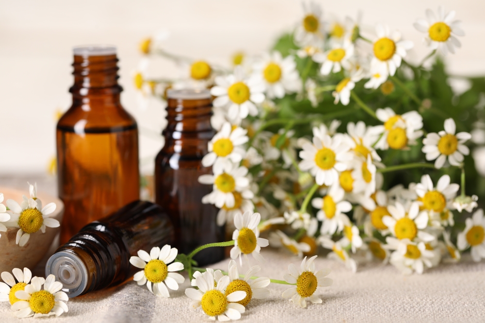 8 Benefits of Chamomile Essential Oil